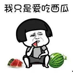 吃娱乐圈瓜应该去哪里